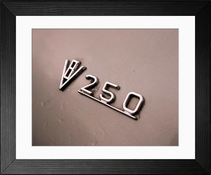 Framed Print : DAIMLER V8 KENNETH MCFADDEN February 1998 Detail of badge 250 Framed Print : DAIMLER V8 KENNETH MCFADDEN February 1998 Detail of badge 250