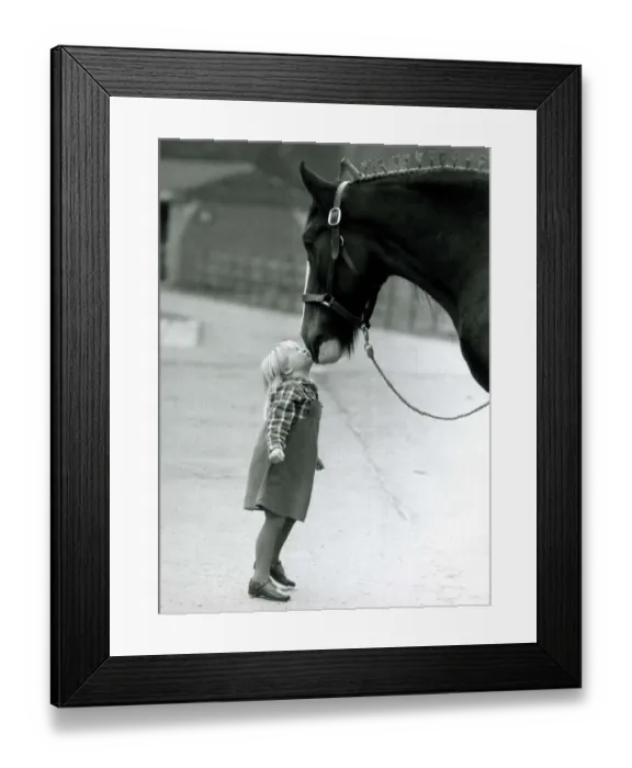 Framed Print : Victoria May, 4, kisses Barley the Brewery Horse on the nose