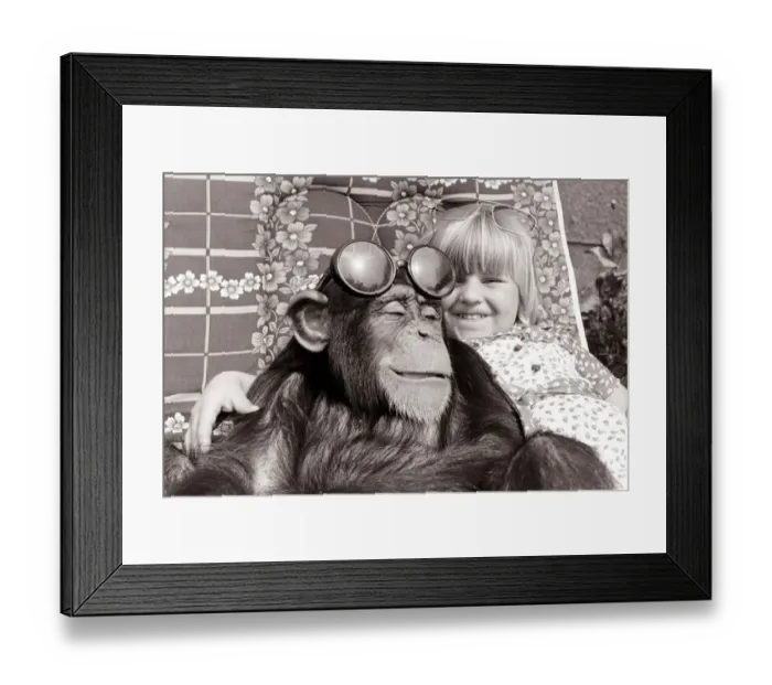 Framed Print : a little girl hugs her chimp friend as they both smile Framed Print : a little girl hugs her chimp friend as they both smile