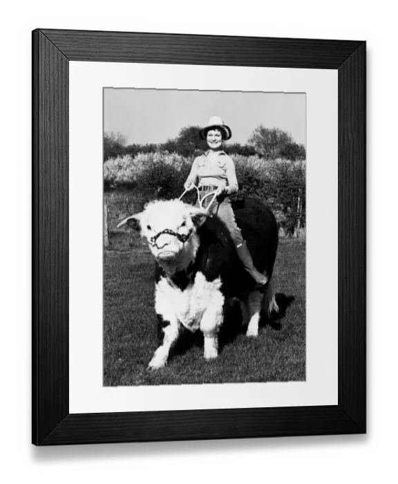 Framed Print : Pamela Noel is taking one of her Hereford bulls for a ride on ther farm near Reading