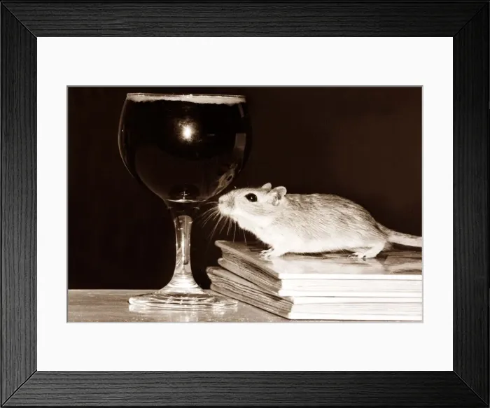 Framed Print : Drinking Mouse - this little mouse likes a little tipple once in a while Framed Print : Drinking Mouse - this little mouse likes a little tipple once in a while