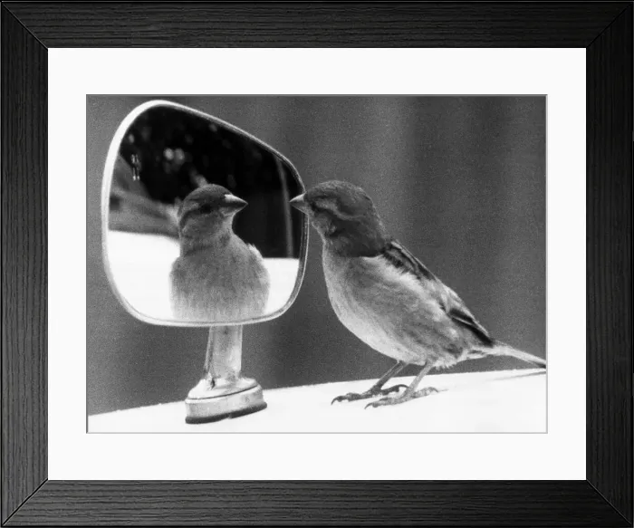 Framed Print : There she stands in all her glory, a worthy object of my affections Framed Print : There she stands in all her glory, a worthy object of my affections