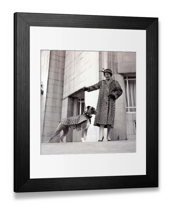Framed Print : Fur coats for dogs - lady and her boxer dog wearing matching fur coats September
