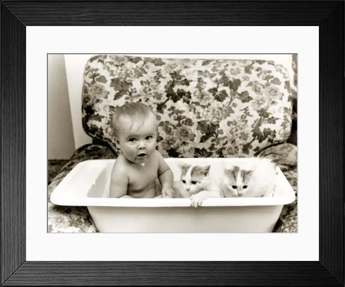 Framed Print : A baby in a bath with two kittens Framed Print : A baby in a bath with two kittens