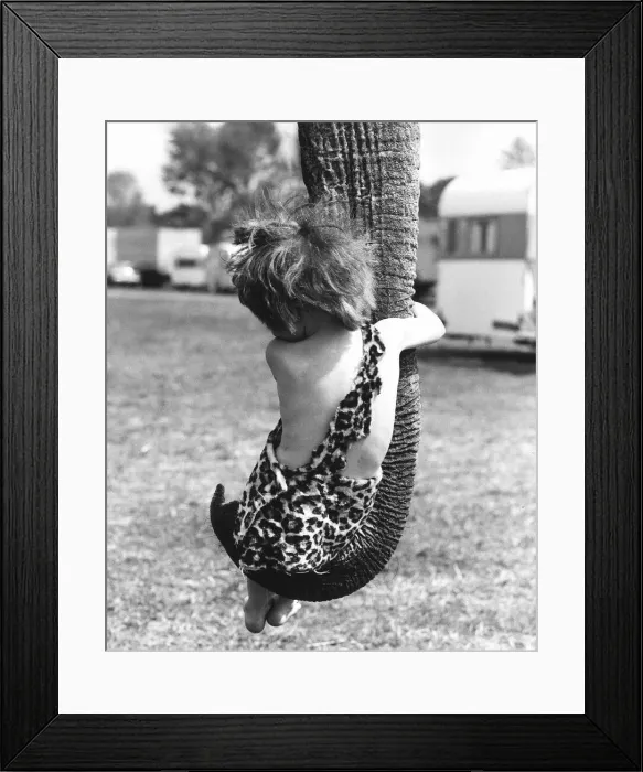 Framed Print : Children Animals Elephants A young boy dressed as Tarzan in a Leopard skin costume