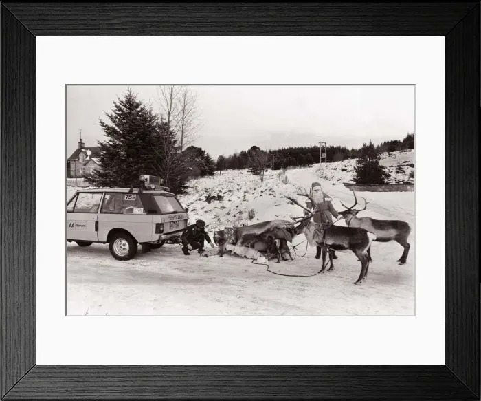 Framed Print : Santas Claus breaks down, as his sleigh gets stuck, his reindeers look on as a car Framed Print : Santas Claus breaks down, as his sleigh gets stuck, his reindeers look on as a car