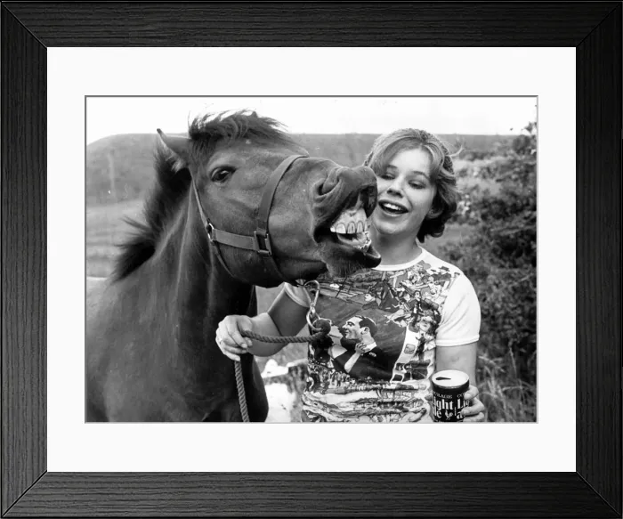 Framed Print : Maggie Barrett gets a satified whinney from Flea the horse as she offers him some beer Framed Print : Maggie Barrett gets a satified whinney from Flea the horse as she offers him some beer