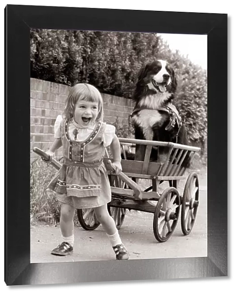 A young girl laughs out loud as she tried to pull a cart with a large dog sitting in it