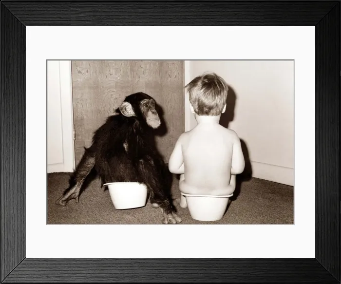 Framed Print : Potty Training - this young chimp joins his young friend for potty training Framed Print : Potty Training - this young chimp joins his young friend for potty training