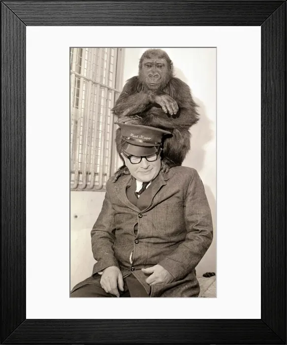 Framed Print : Game keeper with baby gorilla on his shoulders