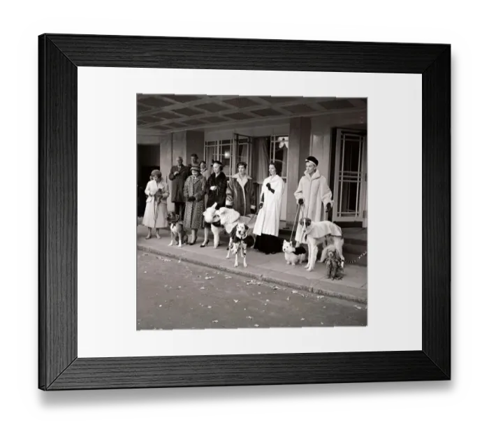 Framed Print : Fur coats for dogs with owners walking - dogs and their lady owners wearing matching fur