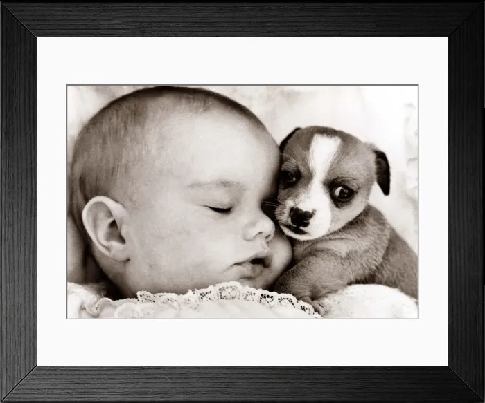 Framed Print : Baby sleeps with cute puppy circa 1965 Framed Print : Baby sleeps with cute puppy circa 1965