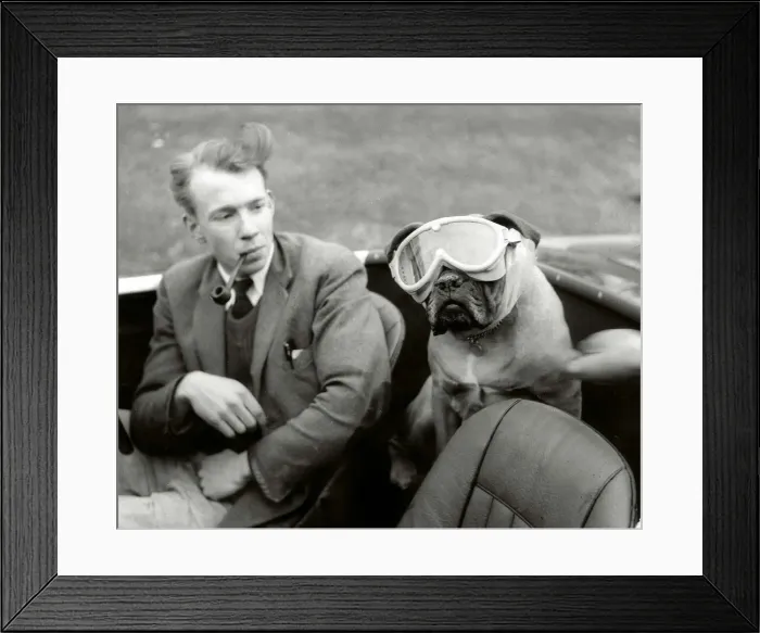 Framed Print : You can now buy doggie goggles to protect motoring pets eyes from dust Man smoking Framed Print : You can now buy doggie goggles to protect motoring pets eyes from dust Man smoking