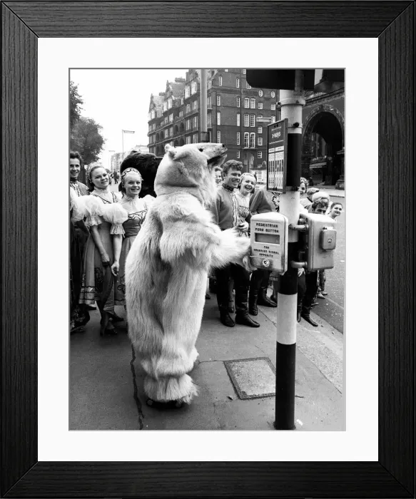 Framed Print : The omsk Russian Dancers and singers in London on tour. The big white bear played by Framed Print : The omsk Russian Dancers and singers in London on tour. The big white bear played by