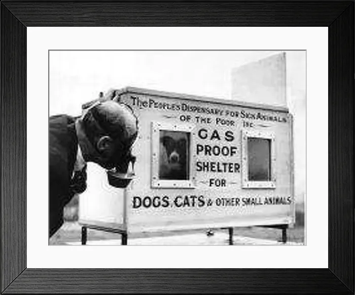  : WW2 First gas proof chamber for animals invented by Mr C H Gaunt