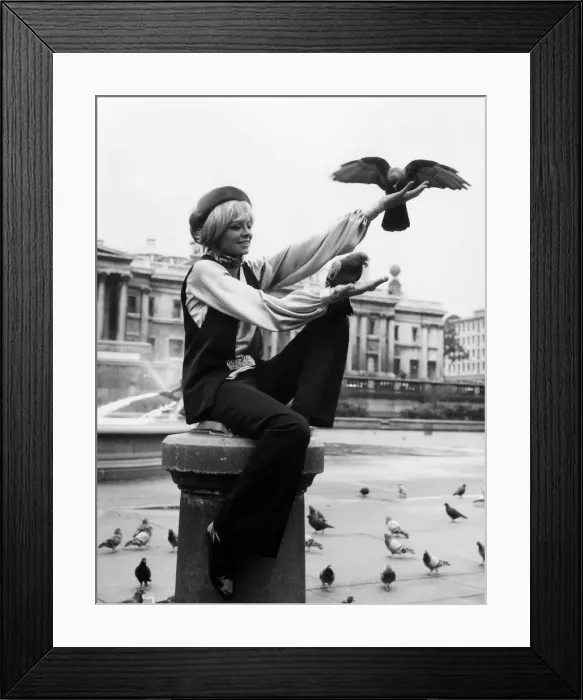 Framed Print : Susannah York feeding the pigeons at Trafalgar Square Framed Print : Susannah York feeding the pigeons at Trafalgar Square