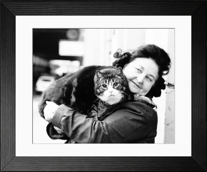 Framed Print : Tiddles the cat wins award for being londons fattest cat