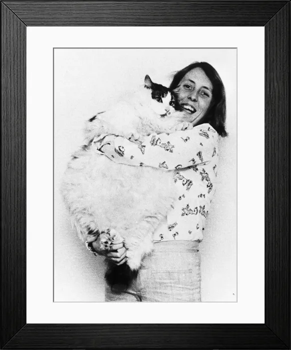 Framed Print : Animals Cats Gill Dacey struggles to hold up her pet pussy cat Tiger Framed Print : Animals Cats Gill Dacey struggles to hold up her pet pussy cat Tiger