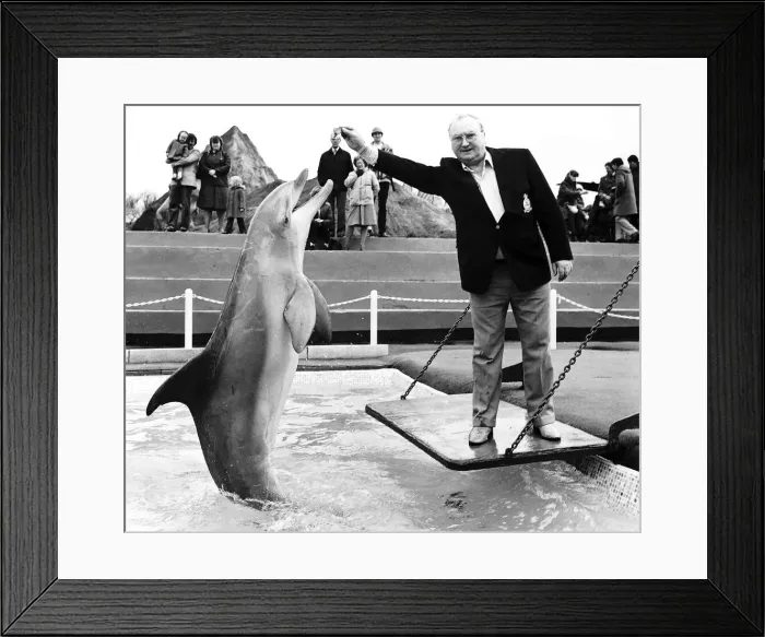 Framed Print : Fred Feast Actor who played Fred Gee in Coronation Street pictured with a Dolphin leaping Framed Print : Fred Feast Actor who played Fred Gee in Coronation Street pictured with a Dolphin leaping