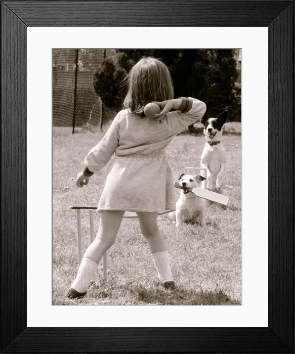 Framed Print : Russell the Jack Russell bats and Skinny bones is the wicket keeper