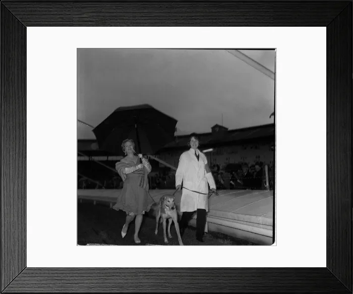 Framed Print : Liz Fraser actress with greyhound May 1962 in aid of the Variety club of