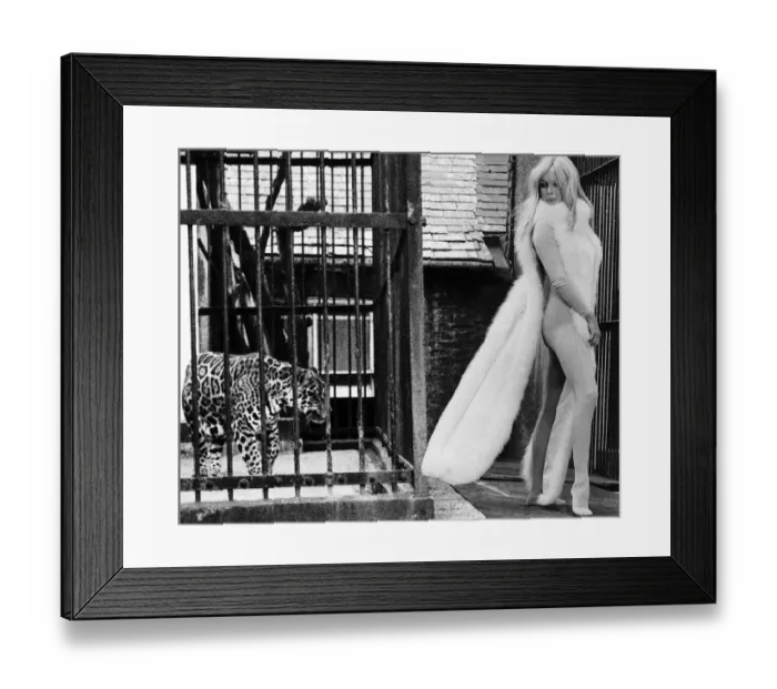 Framed Print : Brigitte Bardot French actress in skin tight catsuit with fur cape standing beside cage Framed Print : Brigitte Bardot French actress in skin tight catsuit with fur cape standing beside cage