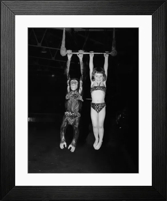 Framed Print : Chimpanzee with girl 1957 Animals Unusual Conda the chimp from Billy Smart