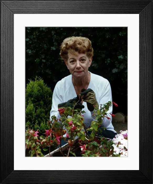 Framed Print : Jean Alexander actress in her garden at home - September 1989 Framed Print : Jean Alexander actress in her garden at home - September 1989