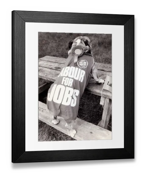 Framed Print : Political Campaign Posters - 1987 The Labour Party - T shirt dog standing