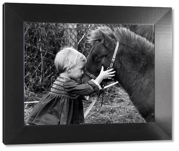 Animal Horses September 1967 Little Serena stands face to face with a '