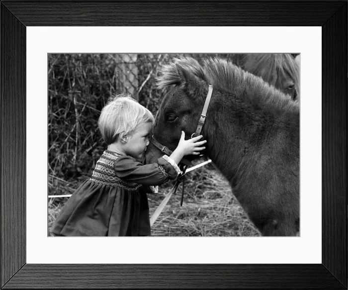 Framed Print : Animal Horses September 1967 Little Serena stands face to face with a Framed Print : Animal Horses September 1967 Little Serena stands face to face with a