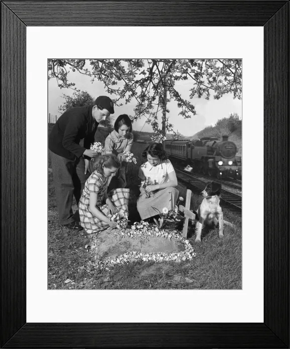 Framed Print : Animals Dogs Friendships Prince Grave May 1953 Children lay flowers on the grave