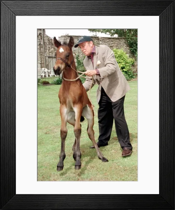 Framed Print : Richard Wilson actor with his baby foal Tam