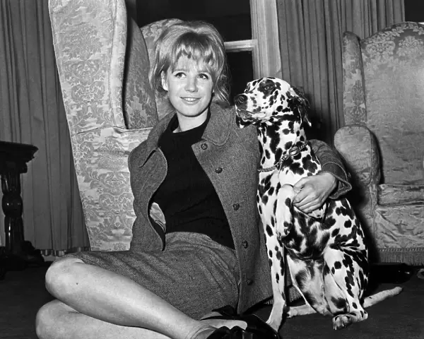 Marianne Faithfull pop singer actress with dog 1965