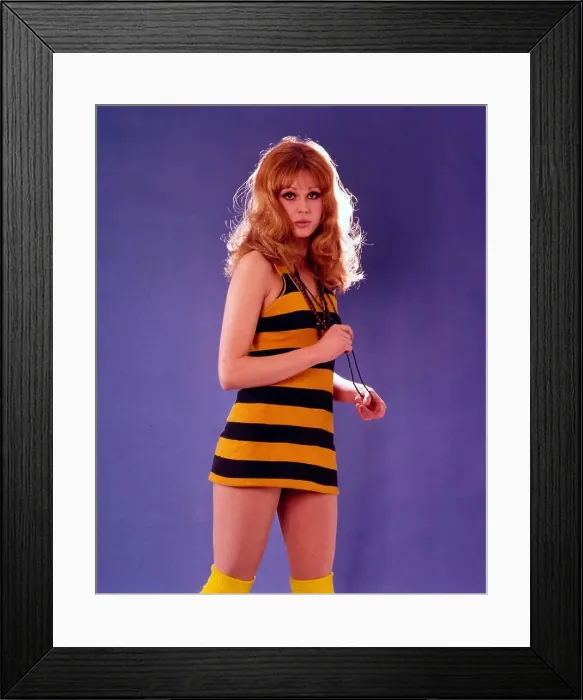 Framed Print : Actress Joanna Lumley 1971 Framed Print : Actress Joanna Lumley 1971