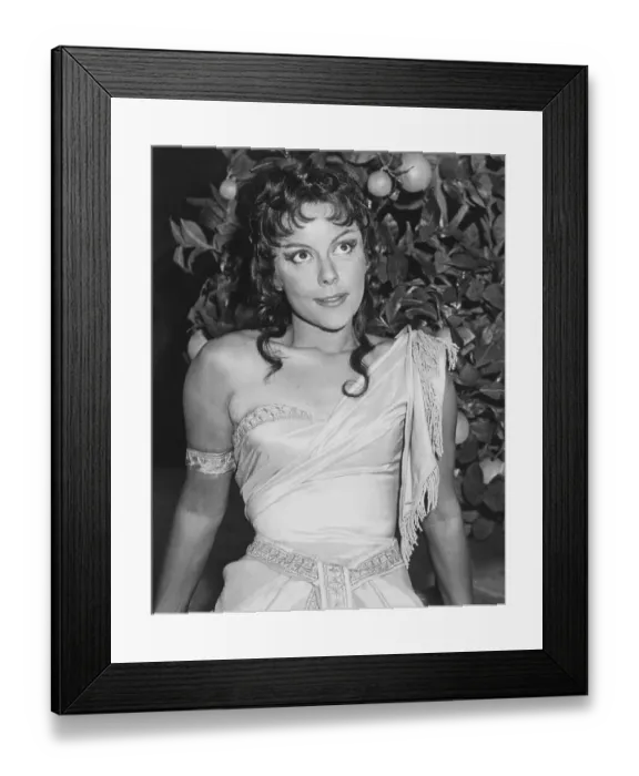 Framed Print : British stage and screen actress Dorothy Tutin first joined the Shakespeare Memorial Framed Print : British stage and screen actress Dorothy Tutin first joined the Shakespeare Memorial