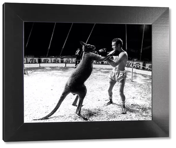 Alan Minter vs The Hopping Aussie Boxing Alan Minter Britain