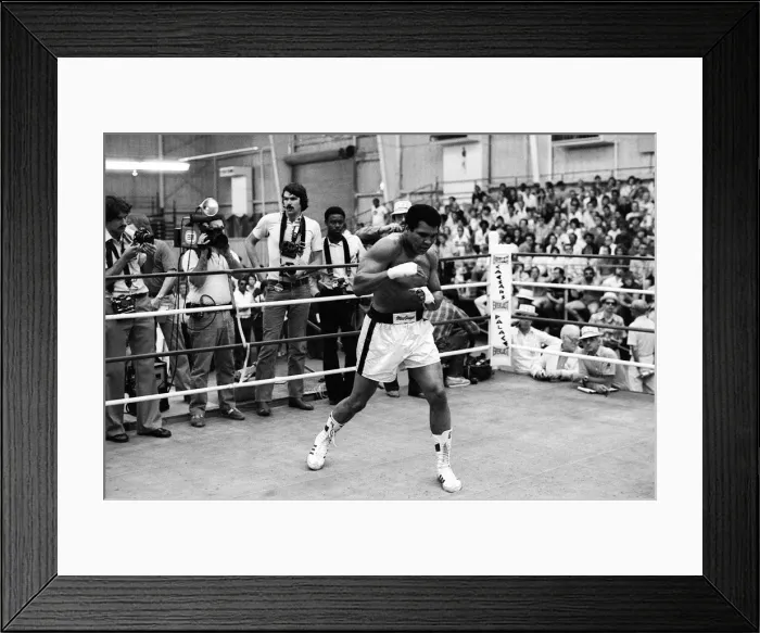 Framed Print : Muhammad Ali in training ahead of his world heavyweight title comeback fight against WBC Framed Print : Muhammad Ali in training ahead of his world heavyweight title comeback fight against WBC