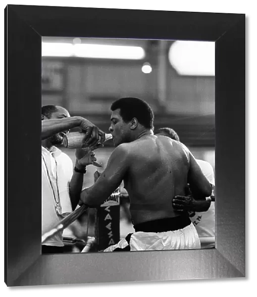 Muhammad Ali in training ahead of his world heavyweight title comeback fight against WBC