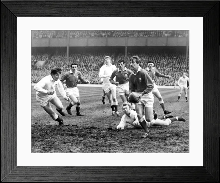 Framed Print : Wales v England - 28th February 1970 - Barry John, the Welsh fly-half makes a break v Framed Print : Wales v England - 28th February 1970 - Barry John, the Welsh fly-half makes a break v