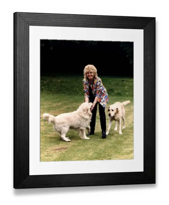 Framed Print : Gloria Hunniford TV Presenter at home with her dogs