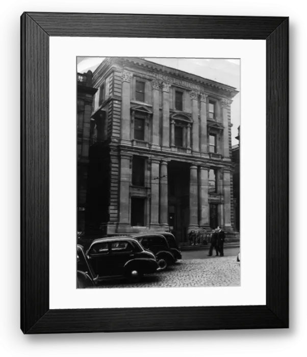 Framed Print : Looking clean a new after having had its face washed Framed Print : Looking clean a new after having had its face washed
