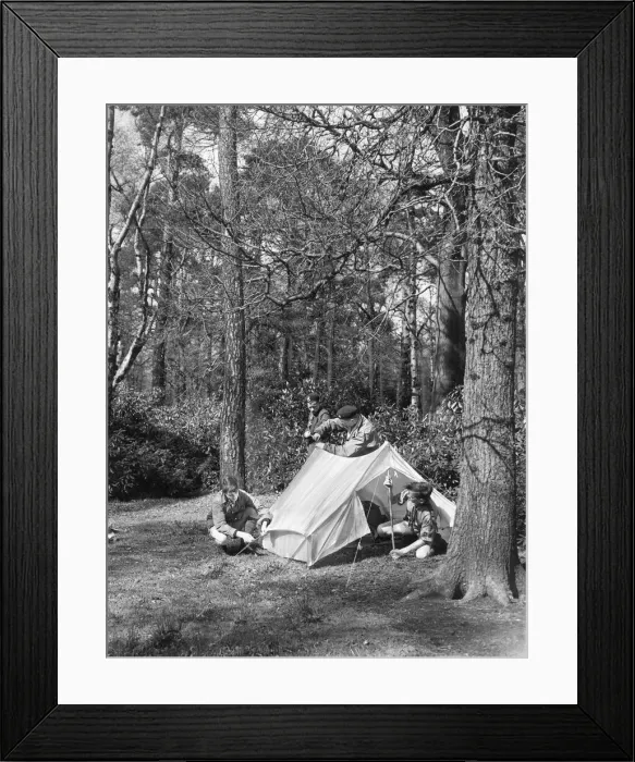Framed Print : Boy Scouts gaining their foresters badge at Gosforth Park in Newcastle