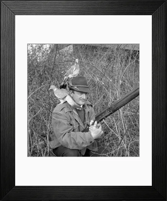 Framed Print : Hunter wearing pigeon decoy Circa 1963 Framed Print : Hunter wearing pigeon decoy Circa 1963