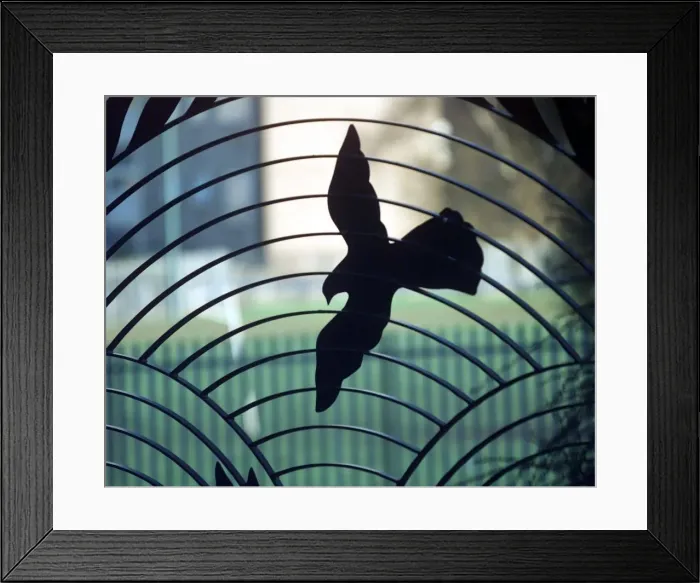 Framed Print : Peace garden, Bath Row, Birmingham Framed Print : Peace garden, Bath Row, Birmingham