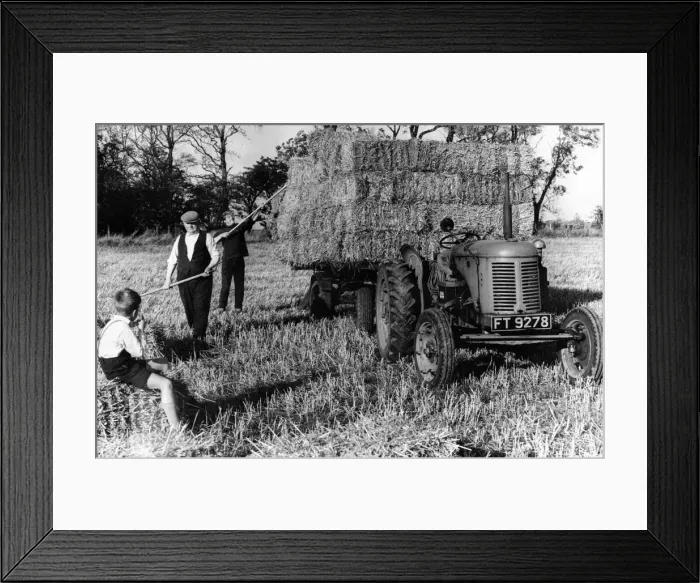 Framed Print : A young boy watches as farm hands load bales of straw on to the trailer at Est