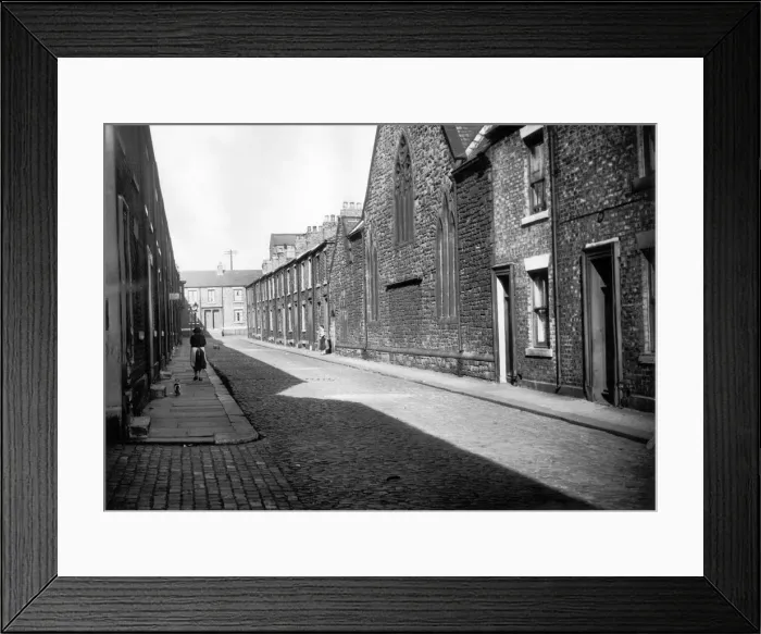 Framed Print : A cat follows a lady down Alderson Street in South Shields in the late evening sun, May