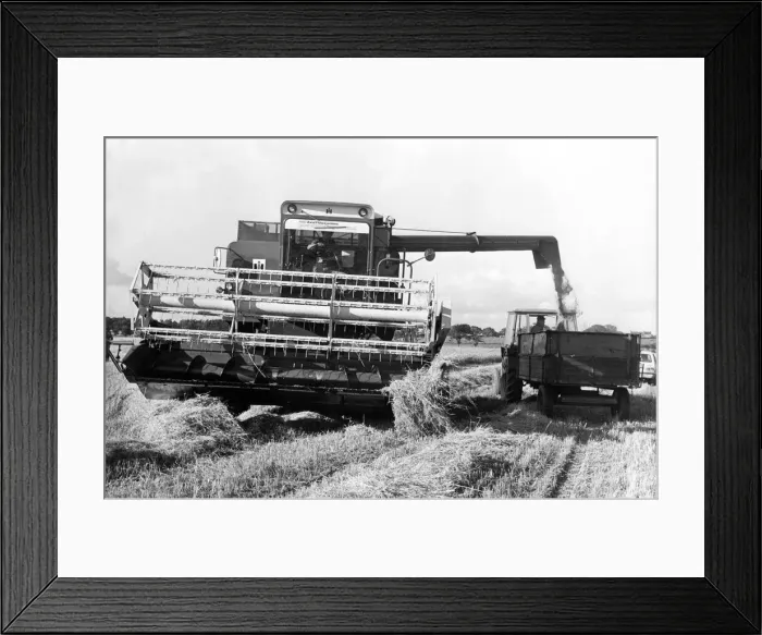 Framed Print : A Combine Harvester at work in September 1979 Framed Print : A Combine Harvester at work in September 1979
