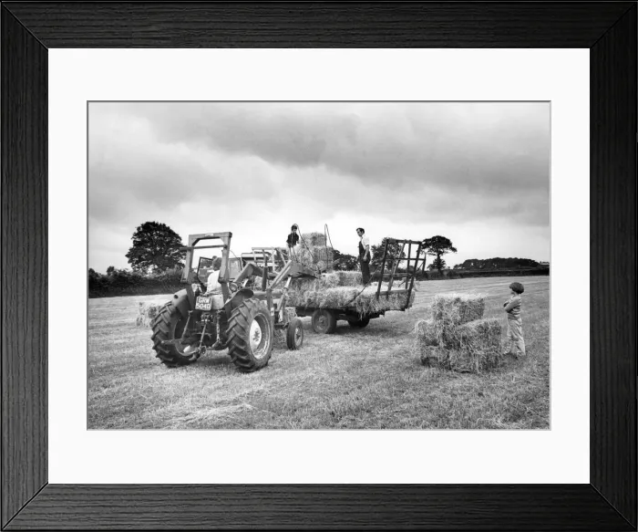 Framed Print : Workers rushing to lift the last of the hay as the storm clouds gather over a Cumbrian Framed Print : Workers rushing to lift the last of the hay as the storm clouds gather over a Cumbrian