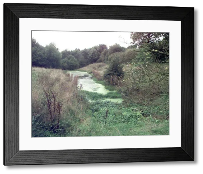 Framed Print : The Castle Moat in Hartshill, near Nuneaton in Warwickshire Framed Print : The Castle Moat in Hartshill, near Nuneaton in Warwickshire